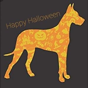 Meet your Posher, Cathy